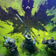 Three Destiny Guardians stand overtop a dark imprint of the Witch Queen.